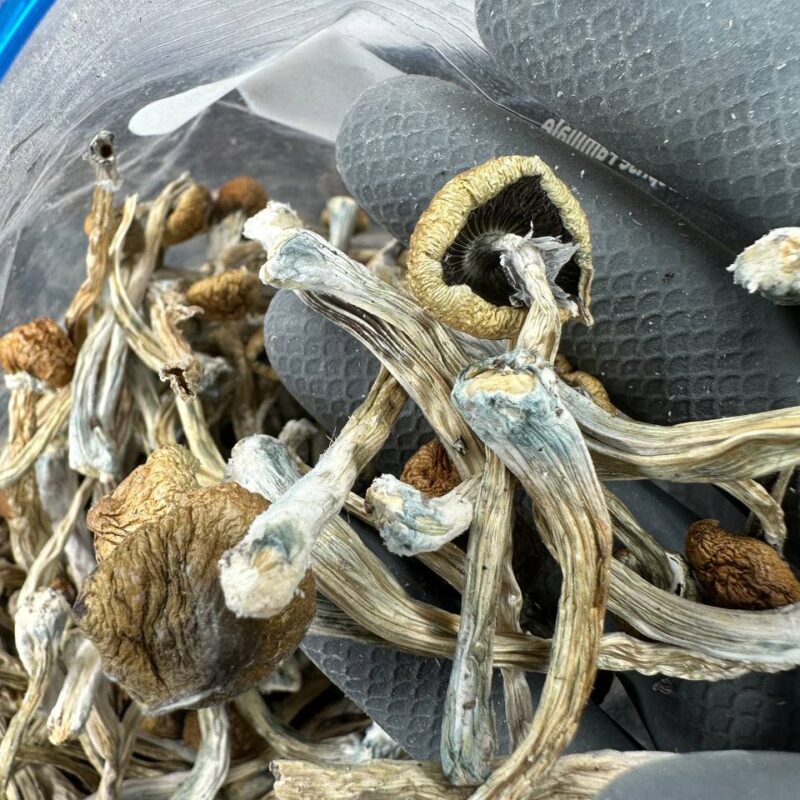 Liberty Caps