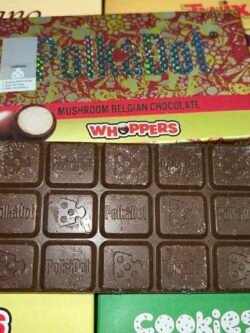mushroom chocolate bars psilocybin chocolate USA