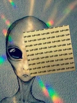 Buy 1P-LSD blotter tabs online USA discreet shipping