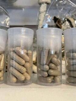 psilocybin mushroom capsules microdose capsules USA