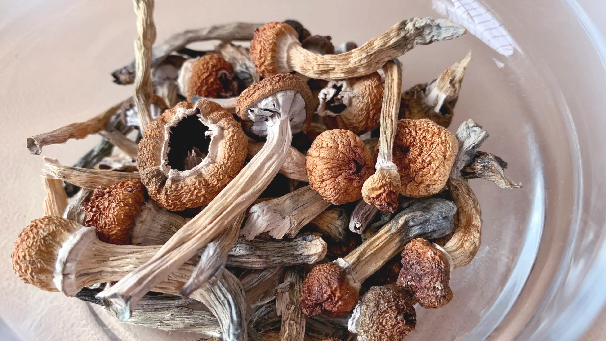 Buy magic mushrooms online USA dried psilocybin mushrooms and capsules